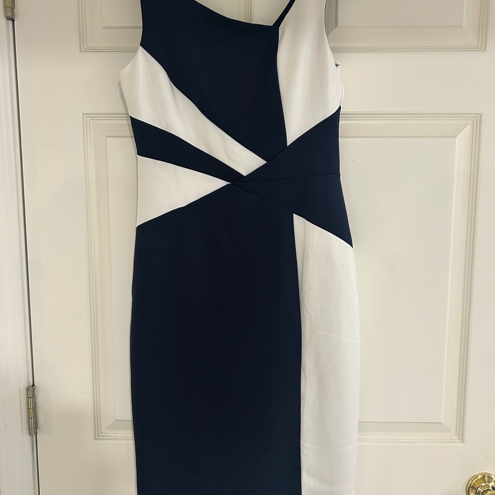Elegant Navy and White Dress